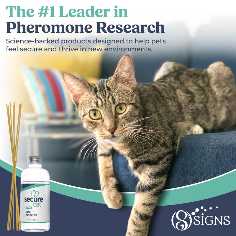 SIGNS SecureCat Pheromone Home Stick Diffuser Refill, Provides 30 More Days of Natural Support for an Environment of Calm and Well-Being, Helping Relieve Any Feeling of Anxiety and Stress Cat