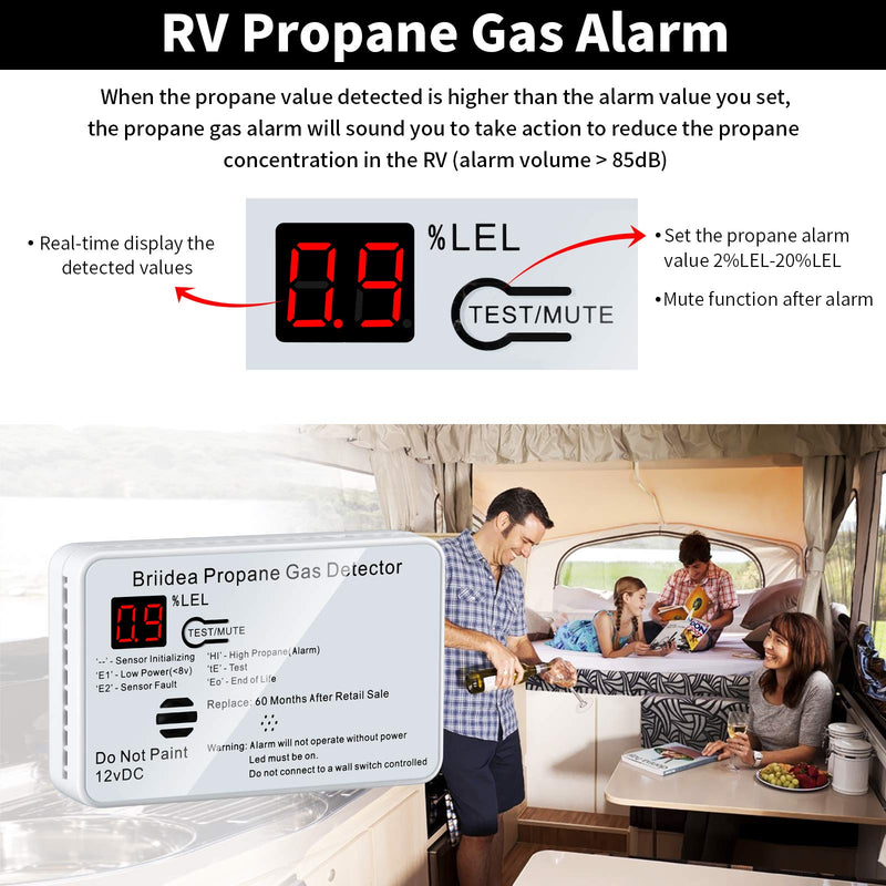 RV Propane Alarm, Briidea RV Propane Gas Detector with 85dB Loud Alarm, 12 VDC, White