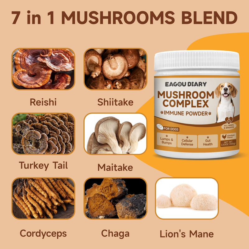 Mushroom for Dogs - with Turkey Tail Mushroom for Dogs, Lion’s Mane, Shiitake, 100g Powder, Immune & Digestive Health, Enhances Energy, Lumps & Bumps Supplement, Organic Mushrooms Supplement for Dog