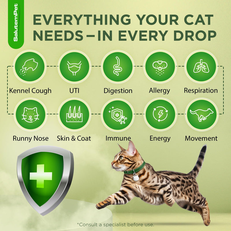 Cat Antibiotic in Drops – Natural Antibiotics for Cats with Chicken Flavor Help with UTI, Cough, Allergies – Safe for Pets and Breeds – 2-oz Bottle with a Pendant Included Herbal Antibiotic for Cats 2 Fl Oz