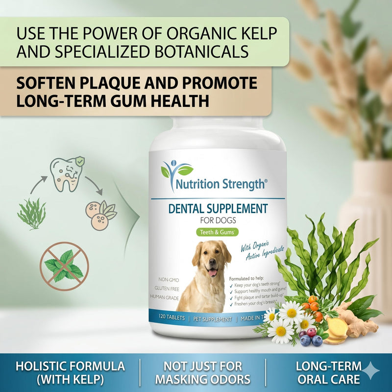 Dental Care for Dogs - Natural Plaque & Tartar Remover for Teeth - Fresh Breath Dog Supplement with Organic Kelp, Strawberry Leaf & Pumpkin Seed for Gum Health - 120 Tablets
