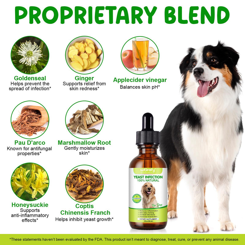 Natural Dog Yeast Infection Treatment for Itchy Skin, Ears & Paws, Soothes Irritation & Relieves Discomfort from Allergies, Supports Healthy Itch Relief, Improves Coat & Skin, Herbal Supplement Drops