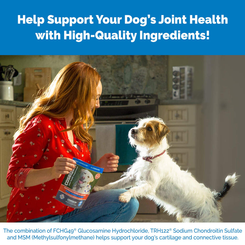 Nutramax Cosequin Maximum Strength Joint Health Supplement for Dogs - With Glucosamine, Chondroitin, MSM, and Hyaluronic Acid, 75 Chewable Tablets - PawsPlanet Australia