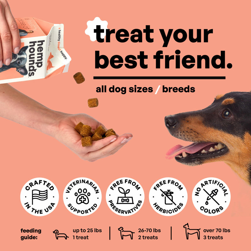 Adaptogenic Joint Supplement for Dogs- Glucosamine Chondroitin for Dogs with Green Lipped Mussels - MSM - 90 Chews - Dog Pain Supplement - Inflammation Relief Chews - Beef Liver Flavor
