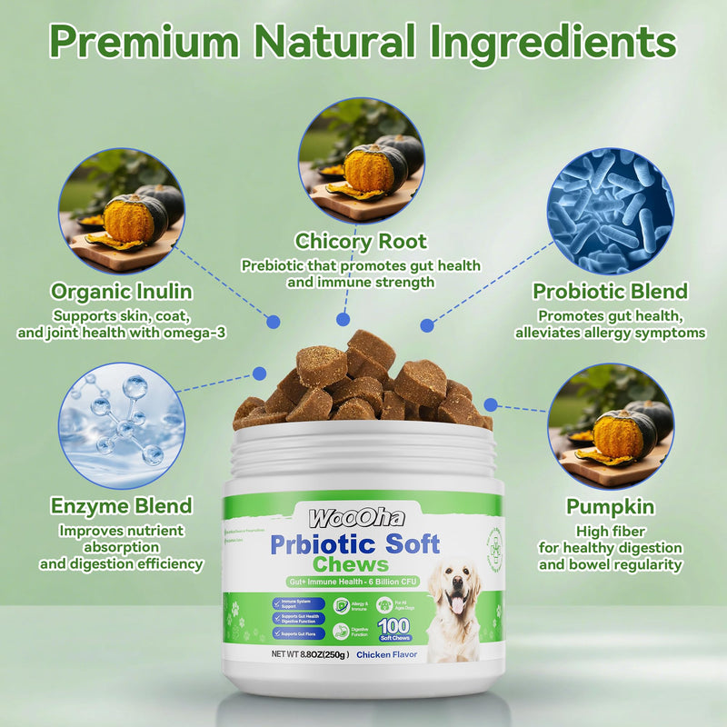 Probiotics for Dogs, Dog Probiotics for Gut Health, Digestive Support, Itchy Skin, Gas & Diarrhea Relief, Dog Probiotic with 6 Billion CFU Prebiotics & Digestive Enzymes, 100 Chews