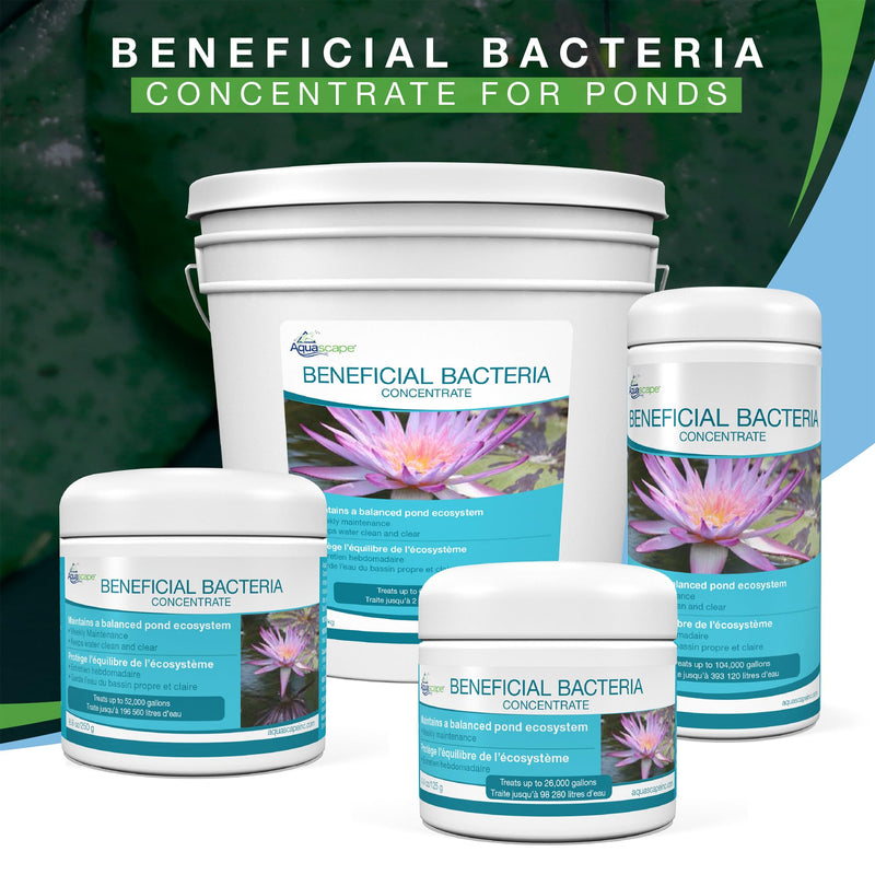 Aquascape Dry Beneficial Bacteria for Pond and Water Features, 4.4-Ounce | 98925,White 0.28 lb