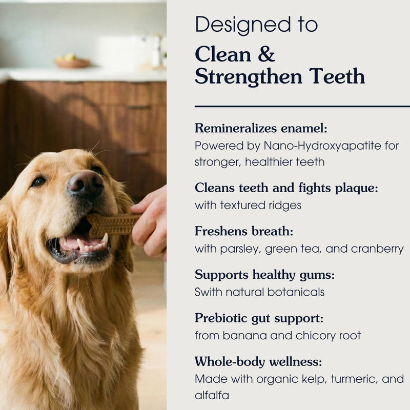 Arterra Pet Science Dog Dental Chews with Nano-Hydroxyapatite Next-Generation Daily Chews for Stronger Teeth, Fresh Breath, and Healthy Gut, for Small Breeds, 14 Count, Pack of 1