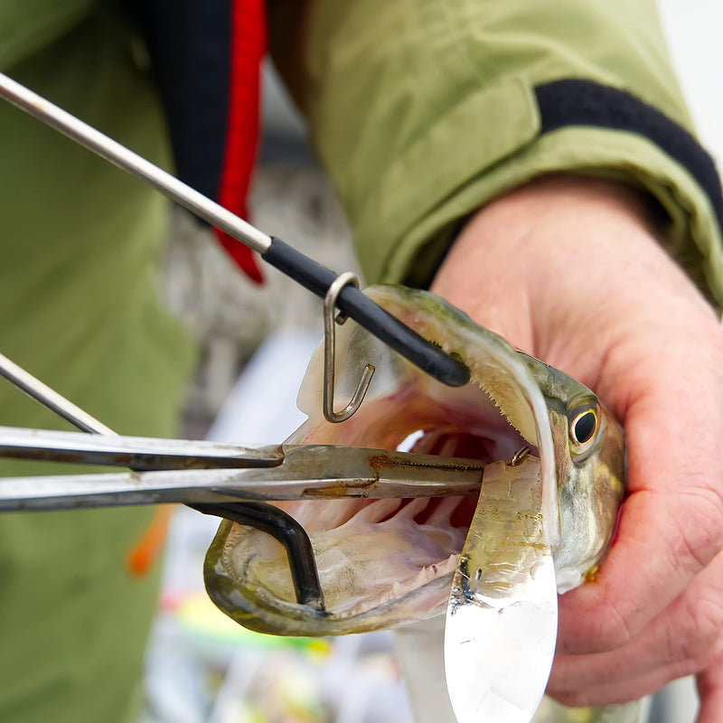 SURGICAL ONLINE 2 Piece Curved & Straight 8" Hemostat Set, Stainless Steel Locking Tweezer Clamps - Ideal Hemostats for Nurses, Fishing Forceps, Crafts and Hobby 2 Count (Pack of 1)
