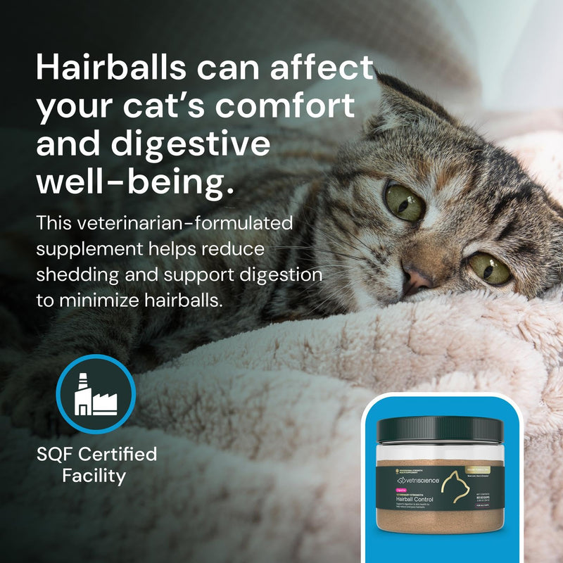 VETRISCIENCE Vet Strength Hairball Control for Cats - Hairball Support & Digestive Health Supplement with Psyllium Husk, Omega Fatty Acids, Zinc & Biotin - Grain-Free, Gluten-Free - 60 Scoops