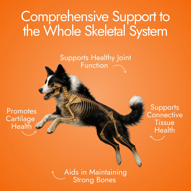 Dog Hip and Joint Supplement - Glucosamine for Dogs (Beef Liver, 60 Chews) - Dog Joint Supplement with MSM, Chondroitin, Vet Approved Dog Vitamins -Mobility Joint Pain Supplements Hip & Joint