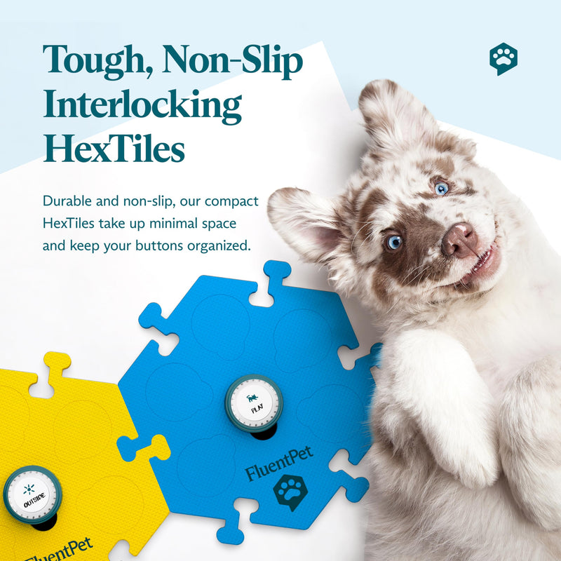FluentPet Tester Kit - Set of 2 Dog Talking Buttons & HexTiles - Customizable Cat & Dog Training Buttons for Communication - Batteries Included - Pet Buttons Gift Set 2 Buttons + 2 HexTiles (Bold)