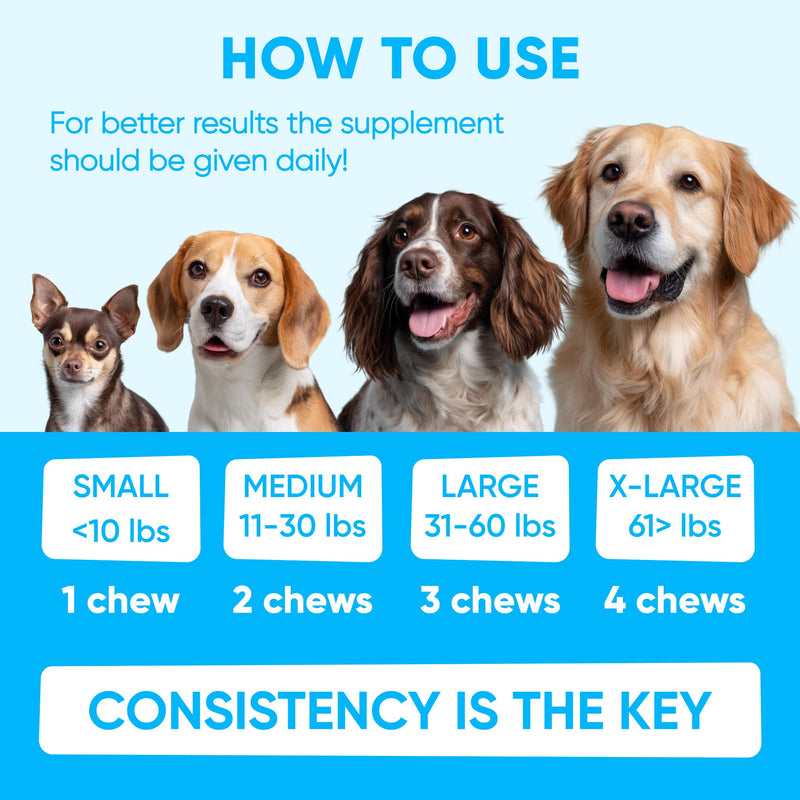 Chewable Flea and Tick Prevention for Dogs - 120 Soft Chews Made in USA - Oral Flea and Tick Control Pills for Small, Medium, Large Dogs and Puppies - Skin and Coat Supplement Treats for All Breeds Flea Support Chews