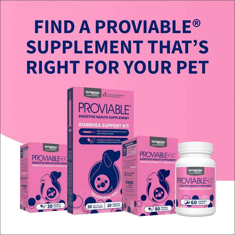 Nutramax Proviable Probiotics for Small Dogs and Cats, Diarrhea Support Kit, Digestive Health Supplement with Multiple Strains of Bacteria, Plus Prebiotics, Kaolin and Pectin, 15 ml Paste and 10 Capsules Small Dog/Cat (Under 20 lbs) - 15 ml (Pack of 10)