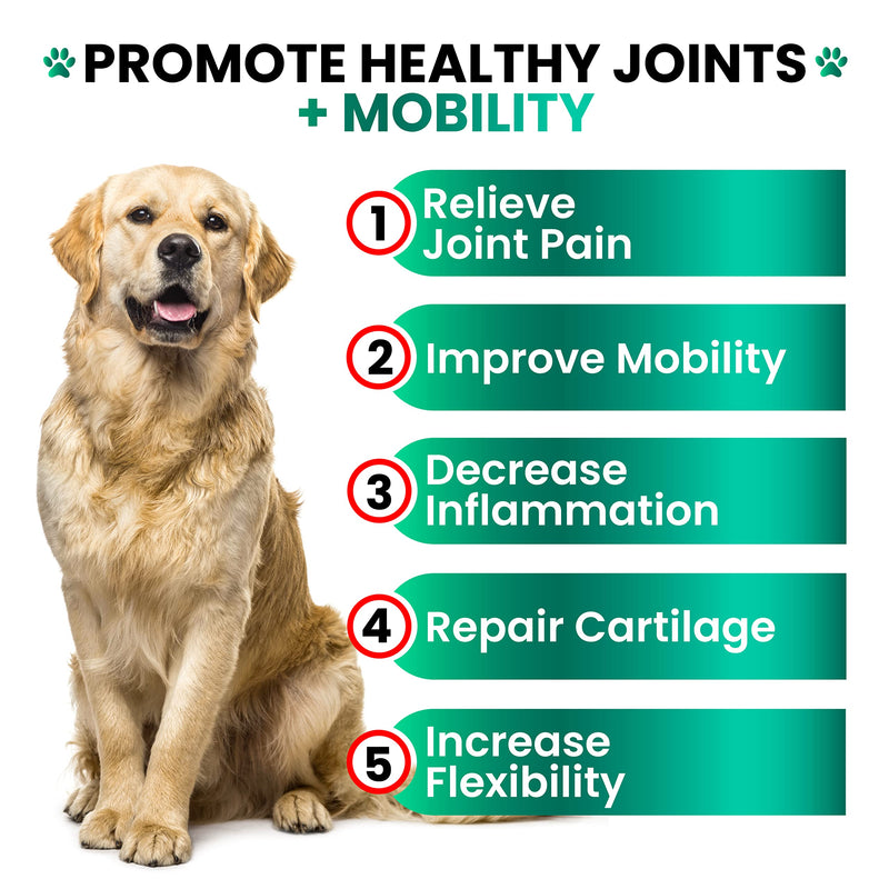 Hemp Hip and Joint Supplement for Dogs - Glucosamine for Dogs - 170 Joint Pain Relief Treats - Chondroitin, MSM, Hemp Oil - Advanced Health Supplement - Mobility Support Chews - Made in USA 12 OZ