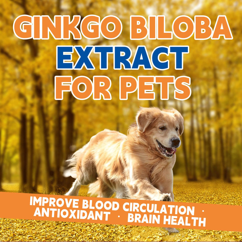 Ginkgo Brain & Heart Support Drops for Dogs, Senior Dogs & Cats Cognitive & Memory Support, Blood Pressure, Cholesterol, Fights Mental Fog, with Curcumin & Lecithin & Multivitamins ﻿