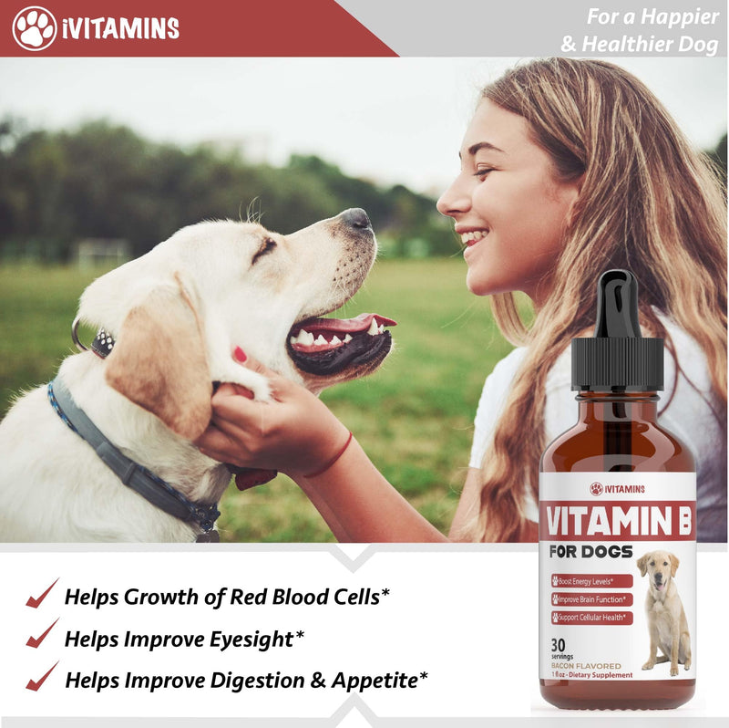 Vitamin B for Dogs | Vitamin B Complex for Dogs | Vitamin B12 for Dogs | Dog Vitamins | B12 Vitamins for Dogs | Vitamin B Dog Supplements | B Complex for Dogs | B12 for Dogs | Do1 fl oz: Bacon Flavor - PawsPlanet Australia