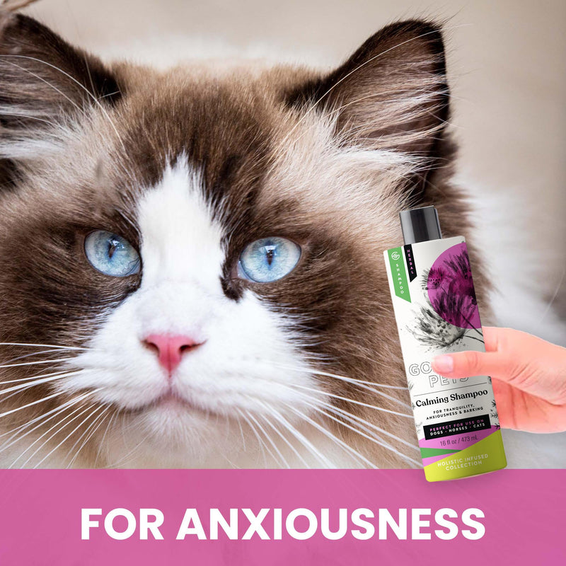 Holistic Natural Derived Calming Pet Shampoo for Anxiety: Veterinarian Recommended: Providing Stress Relief for Dogs, Cats and Horses - Made in USA - 16 oz Calming, Lavender, Bergamot, Geranium - PawsPlanet Australia