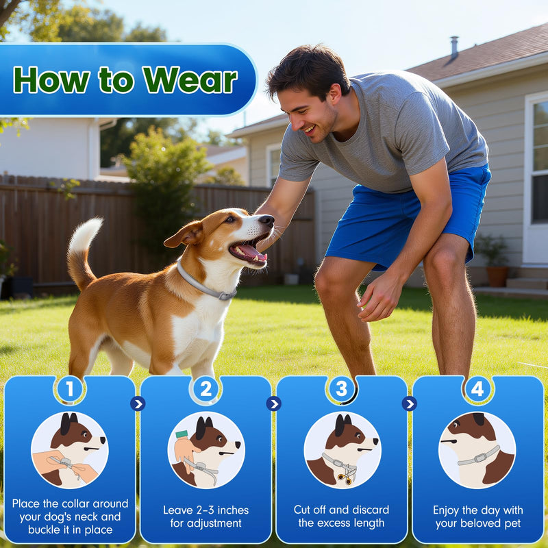 KOOSA Flea and Tick Collar for Dogs, 2 Packs Flea Collar for Dogs with Natural Essential Oils, Waterproof & Adjustable Flea and Tick Prevention Collar for Small Medium Large Dogs & Puppies, Grey 04