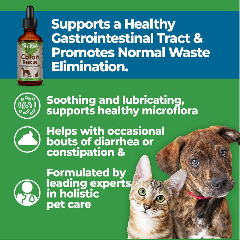 Animal Essentials Colon Rescue Herbal GI Support for Dogs & Cats (Various Sizes) - Made in USA Digestive Aid, Phytomucil Blend 1-Pack - PawsPlanet Australia