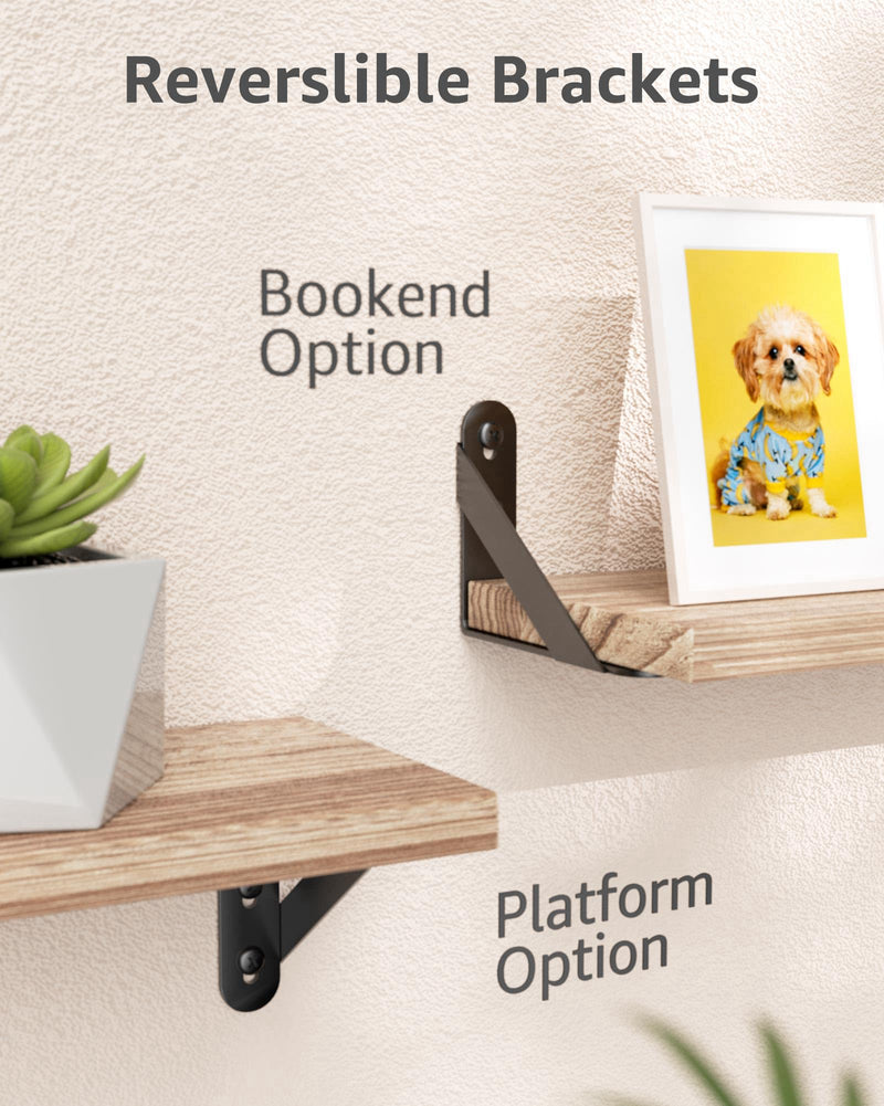 4x3 Shelf Brackets 6-Pack, Shelf Support Shelf Holder Steel Wall Mount Heavy Duty Small L Shape Triangle 90 Degree Metal Black with Screws Anchors Soporte de Estante 4"x3" (6 PACK)