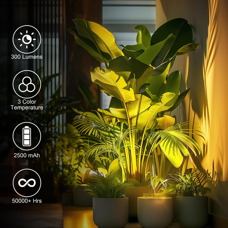 Wireless LED Spot lights Indoor Battery Operated with Remote, Rechargeable Up lights Indoor with Timer＆Dimmable, 3CCT Picture Lights for Wall, SpotLights Accent Uplighting for Plant, Artwork -White White 1 Pack
