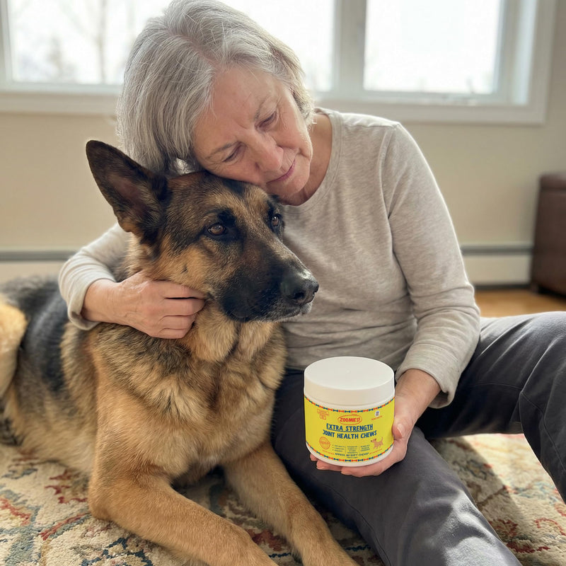 Zoomies Hip & Joint Supplement for Dogs - Soft Chews with Eggshell Membrane, Boswellia, MSM - Joint Support for Senior Dogs - Made in USA - 60 Chews 60 Chews (Pack of 1)