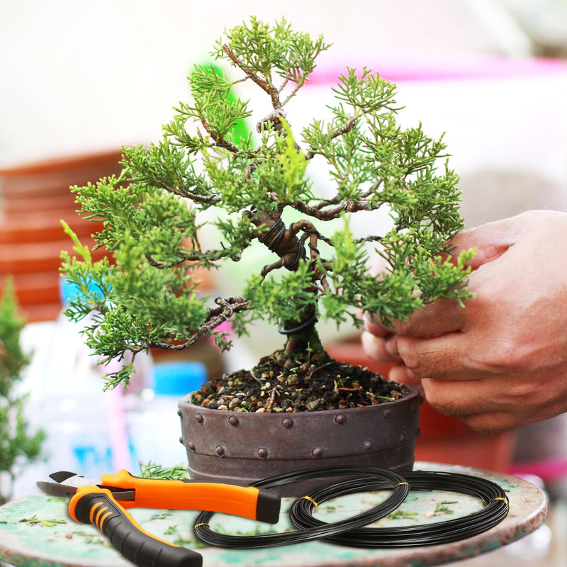 5 Roll Aluminum Bonsai Training Wire Tree 160 Feet Total with Bonsai Wire Cutter Anodized Wire 1/1.5/2.0 mm Training Wire for Holding Bonsai Branches Small Trunks