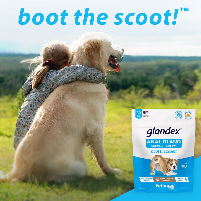Glandex Anal Gland Medicated Spray for Dogs & Cats (4oz) and Glandex Anal Gland Support Chews 60 Ct Bundle Dog Deodorizing Spray & Anti-Itch Spray for Dogs, Anal Gland Dog Treats with Probiotics - PawsPlanet Australia