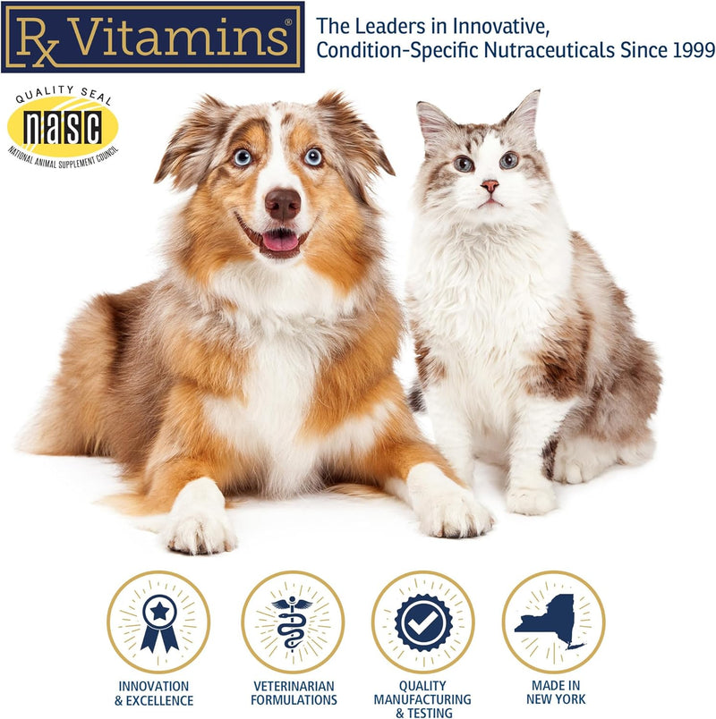 Liquid Vitamin B-12 Complex Drops for Dogs and Cats - Nutritionally Balanced Vet Formulated - Energy, Appetite, Mood - Recovery - Helps Cognition and Brain, Joints, Skin, Digestion - PawsPlanet Australia