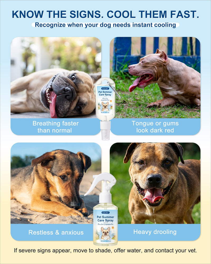 Dog Cooling Spray – Large Capacity Heat Relief for Backyard, Car & Crate – Natural Menthol, Aloe, Oat – Lick-Safe, No Fragrance for Brachycephalic, Double-Coat & Senior Dogs (5.4 fl. oz)