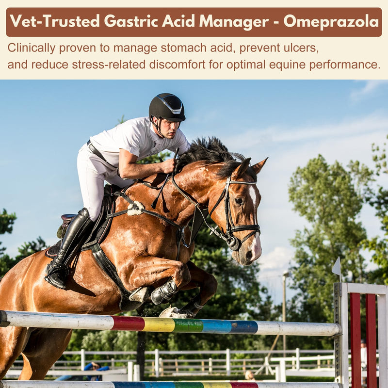 Omeprazole Oral Paste for Horses – Prevent Gastric Ulcers in Horses, Guard Stomach Health for Training, Racing, Showing, Trailering, Traveling, Stall Confinement, and Competition, 9.5 g