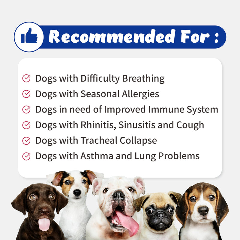 Respiratory Guardian for Dogs - Supports Lung Health, Nasal, Bronchial and Tracheal, Vegan Bacon Flavor (135g) with Quercefit® and Respiratory Probiotics - PawsPlanet Australia