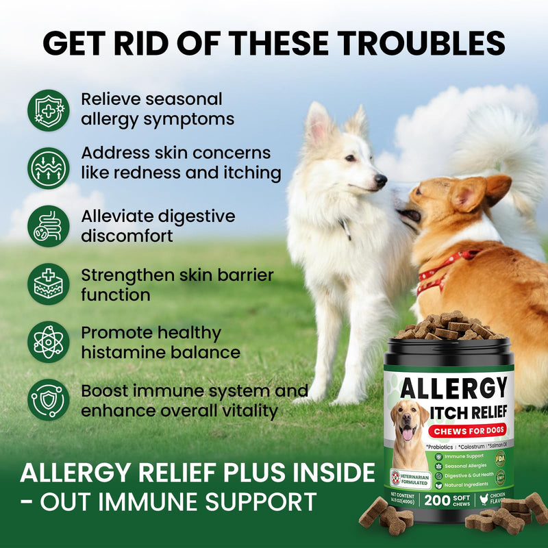 Dog Allergy Relief Chews, Supplement with Probiotics Vitamins, Itchy Skin Relief to Support Seasonal Allergy and Healthy Immune System, Skin and Coat Allergies,Itching & Paw Licking, 200 Soft Treats 200 PCS