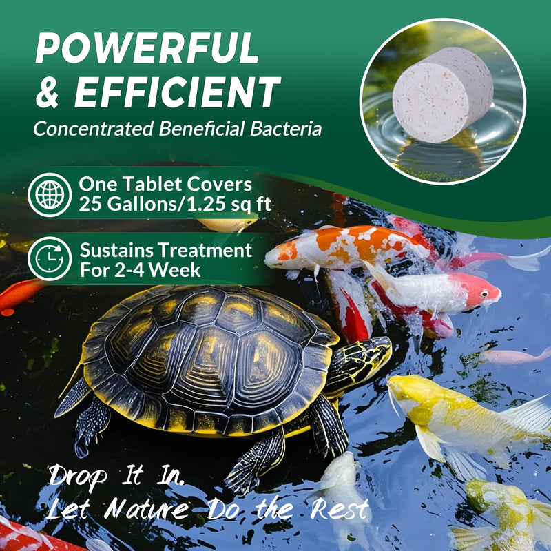 Muck Clear – Natural Pond Sludge Treatment, 500 Tablets for Ponds, Fountains & Bird Baths, Beneficial Bacteria & Enzymes, Chemical-Free & Safe for Fish, Pets & Wildlife 1LB