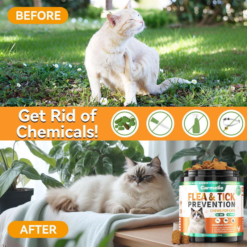 Natural Antibiotics+Flea and Tick Treats for Cats Bundle-200 Each-Cat Antibiotics with ProbioticsCat Antibiotics for Allergy Relief, Urinary Tract Support, Itch Relief, and Immune Support