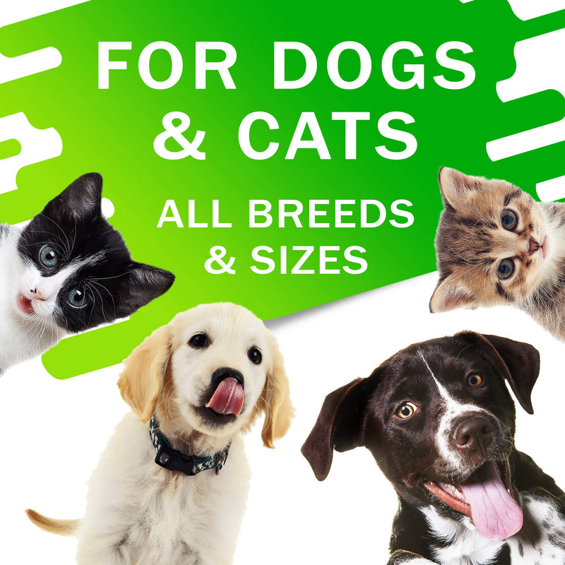 Kennel Cough Drops for Dogs and Cats - 2oz Pet Herbal Remedy - Throat Soother - Homeopathic Respiratory Support - Dry, Wet & Barky Pet Cough and Cat Asthma, Sinus Congestion Treatment - Made in USA - PawsPlanet Australia