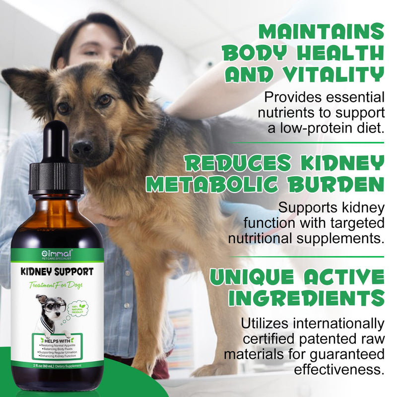 Kidney Support for Dogs - Kidney Support Supplement, Supports Immune, Urinary & Kidney Health Function, Natural Herbal Supplement (2 Fl Oz) 2 Fl Oz - PawsPlanet Australia