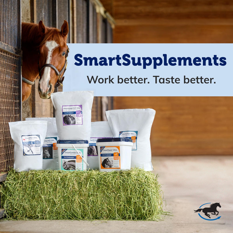 Uckele by SmartEquine Horse Biotin Powder | Hoof Supplement for Horses, Biotin for Horses Includes Zinc and Methionine | 18 oz Jar - PawsPlanet Australia