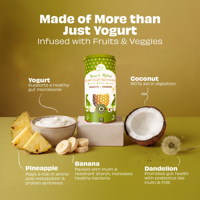 Pineapple Yogurt Melties Prebiotics and Probiotics for Dog | Promotes Immunity, Supports Gut Health | May Help Support Yeast Balance | May Help in Occasional Itchy Skin | Grain-Free (1.3oz)