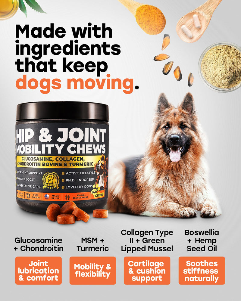 Glucosamine 500 mg Hip & Joint Chews for Dogs — Chondroitin, Collagen, MSM & Turmeric — Bundle with 2‑Billion CFU Multi‑Strain Probiotic Chews — 140 Hip & Joint Chews + 140 Beef Probiotic Chews