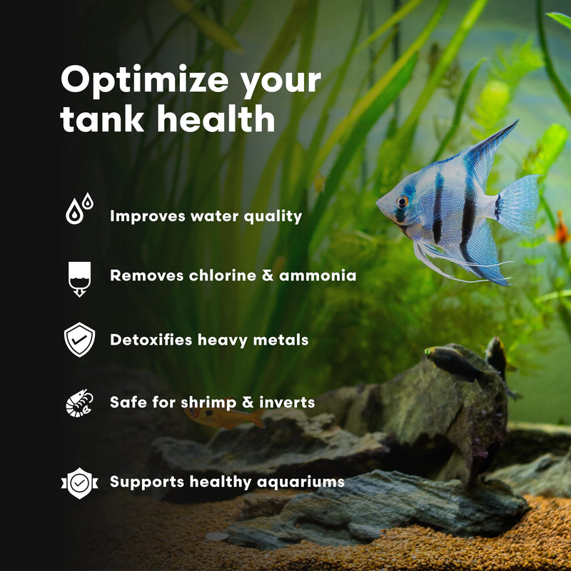 Brightwell Aquatics Shrimp Prep – Water Conditioner for Freshwater Shrimp & Aquariums – Removes Chlorine, Ammonia & Heavy Metals – Promotes Healthy Habitat, 250 ml 250-ml