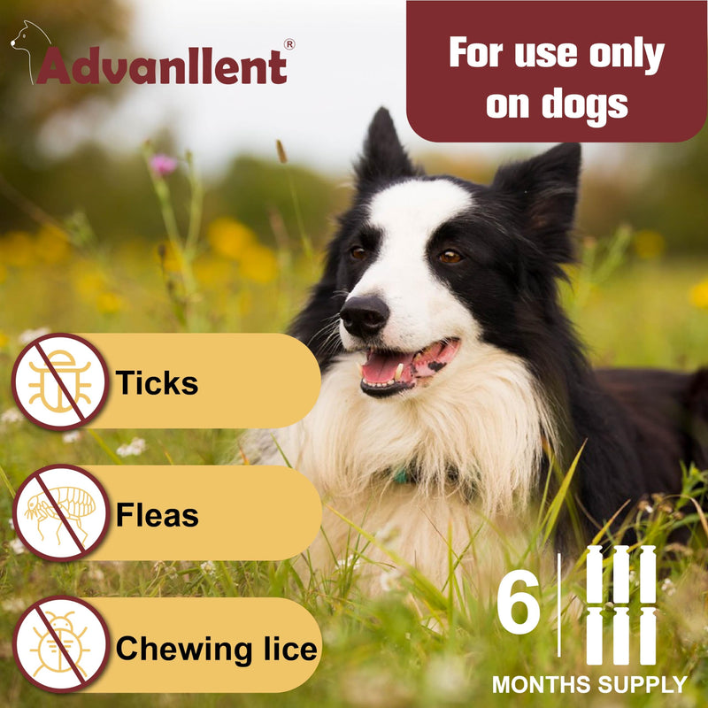Flea and Tick Prevention for Dogs, Flea and Tick Treatment for Extra Large Dog, Flea & Tick Control, 89-132 Pounds, 6 Doses extra large dog-6 Doses