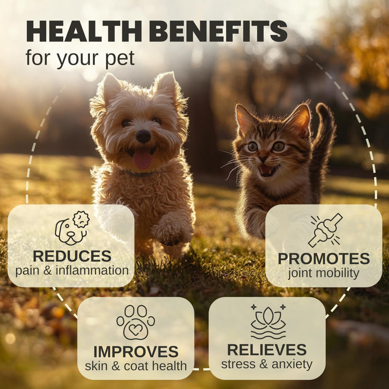 Billion Pets - Hemp Oil for Dogs and Cats - Helps with Anxiety, Pain, Stress, Sleep, Arthritis, Seizures Relief - Hip and Joint Support - Calming Drops 2 Pack