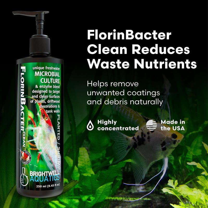 Brightwell Aquatics ShrimpFlorinBacter Clean Copper-Free Enzyme Microbe Formula Reduces Waste Nutrients Loosens Debris in Freshwater Planted Shrimp Tanks, 250 ml 250-ml