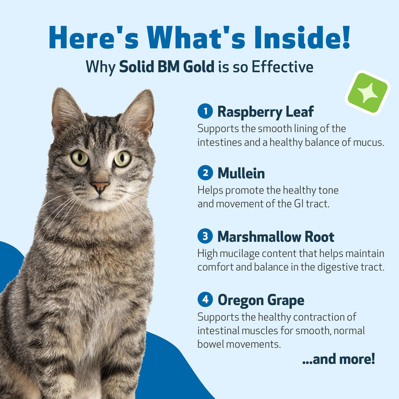 Pet Wellbeing Solid BM Gold for Cats - Supports Healthy Digestive Function, Solid Stools, Bayberry, Oregon Grape - Veterinarian-Formulated Herbal Supplement 4 oz (118 ml) (4 fl oz (118 ml)) 4 fl oz (118 ml)