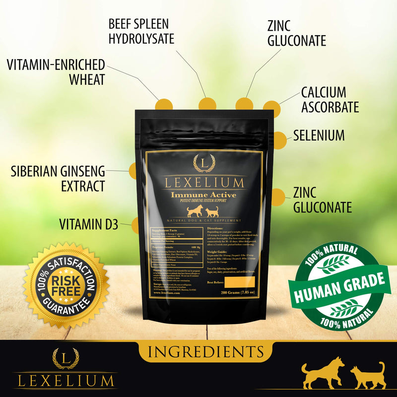 Immune Support for Cats and Dogs - Natural Immunity Supplement Powder Helps Detoxify and Protect Your Pets from Digestive, Respiratory and Skin Issues - Helps with Chronic Infections - 200g - PawsPlanet Australia