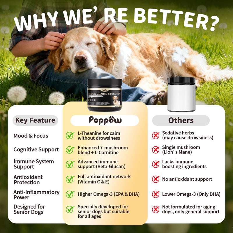 Advanced Calming Chews for Dogs-Brain & Composure Support with 7 Mushrooms, Ashwagandha, Omega-3 DHA & EPA, All Breeds & Sizes, Salmon Flavor, 90Ct