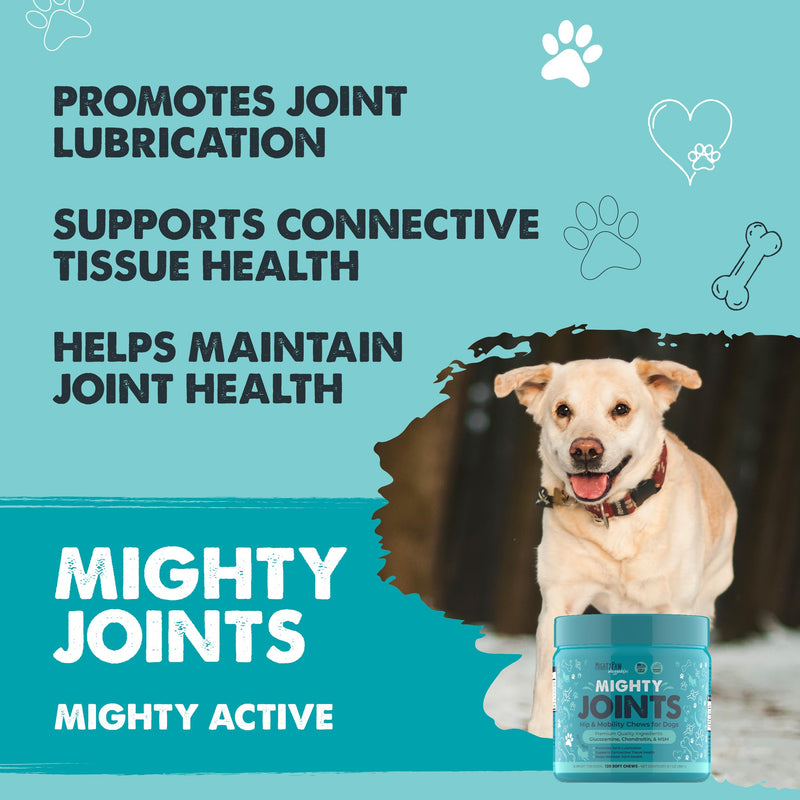 Mighty Paw Waggables Joint Support Supplement for Dogs (Made in USA) | Glucosamine for Dogs Hip and Joint Supplement. Vet Formulated Pet Mobility, Chondriotin & MSM Pet Chews (120 Ct) - PawsPlanet Australia