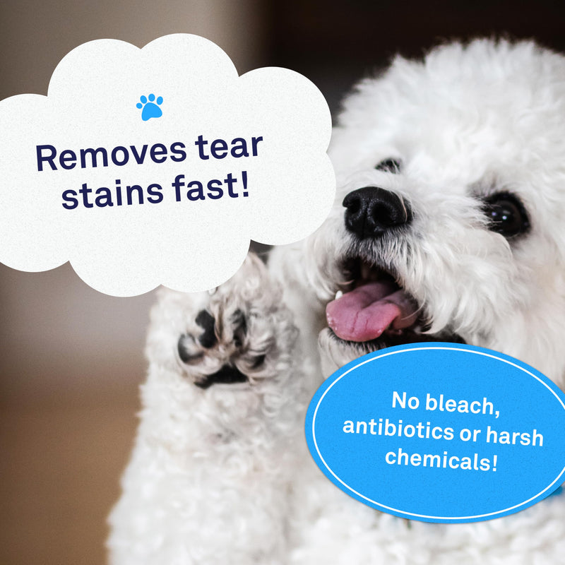 Petpost | Tear Stain Remover Wipes - Presoaked Cotton Pads - Best Natural Eye Crust Treatment for White Fur - Maltese Angels Approved - Chemical and Bleach Free 100 ct. 100 ct. - PawsPlanet Australia