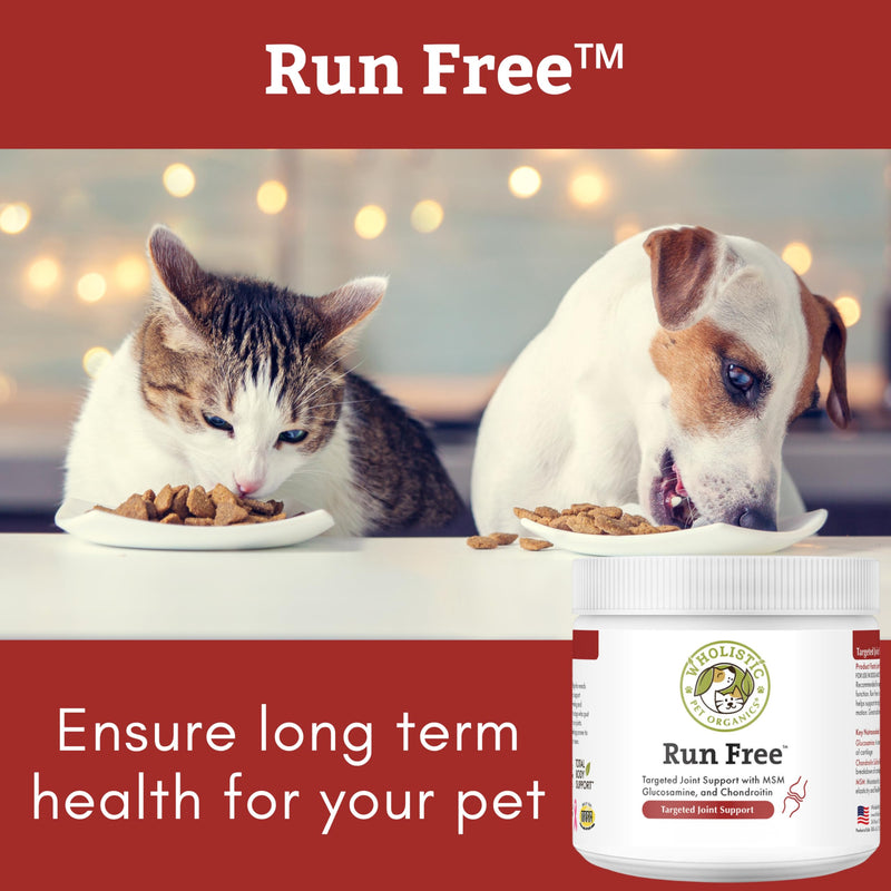 Wholistic Pet Organics Max Strength Hip and Joint Supplement for Dogs & Cats - Cat & Dog Joint Supplement Powder, Chondroitin & MSM to Support Mobility - Glucosamine for Dogs & Cats - 8 oz - 56 Scoops 8oz